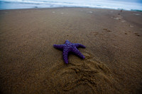 IMG_9604_sm