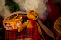 RSP_9708_a