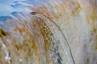 IMG_3623_a