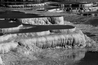 IMG_3583_bw