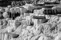 IMG_3676_bw